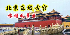 巨乳美妇喷潮中国北京-东城古宫旅游风景区